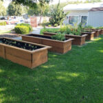 planter boxes in yard