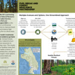 fuel break forest resilience partnership flyer