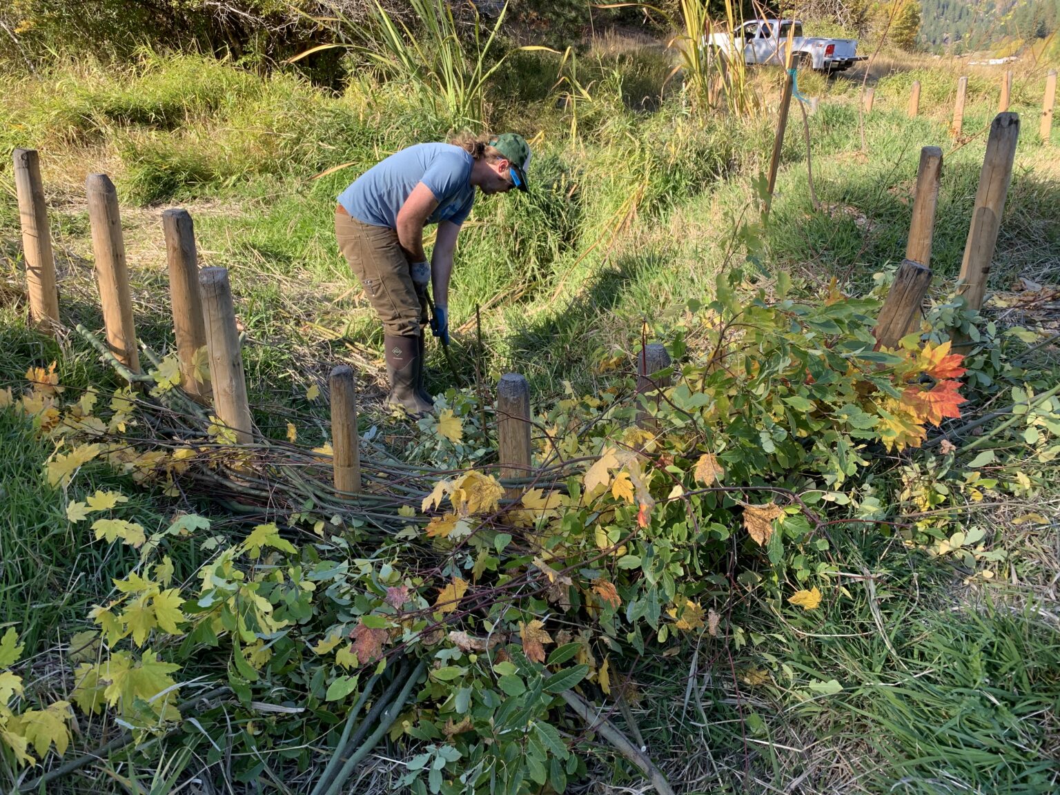 person working on habitat restoration project