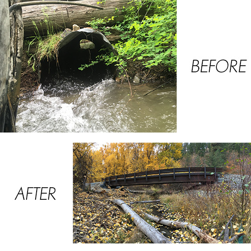 before and after creek restoration graphic