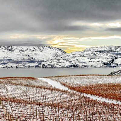 View of orchards and river in the winter time