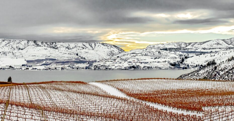 View of orchards and river in the winter time