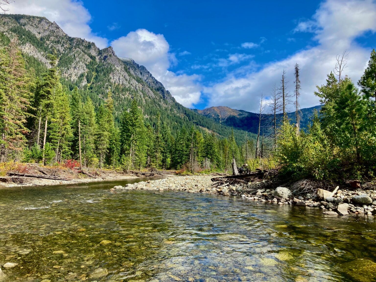 River with mountains and trees