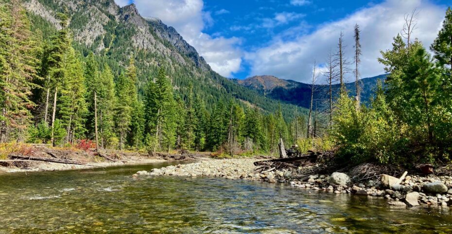 River with mountains and trees