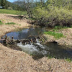 Photo: Beaver Dam Analog by Mark Ingman