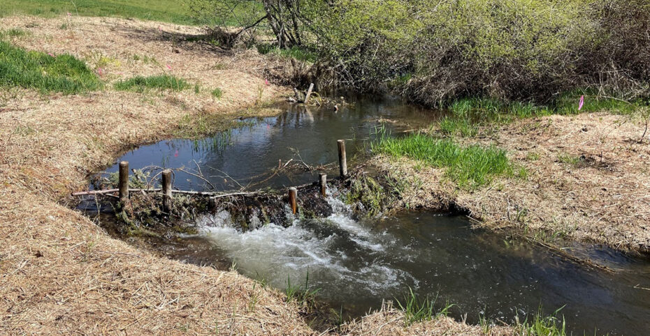 Photo: Beaver Dam Analog by Mark Ingman
