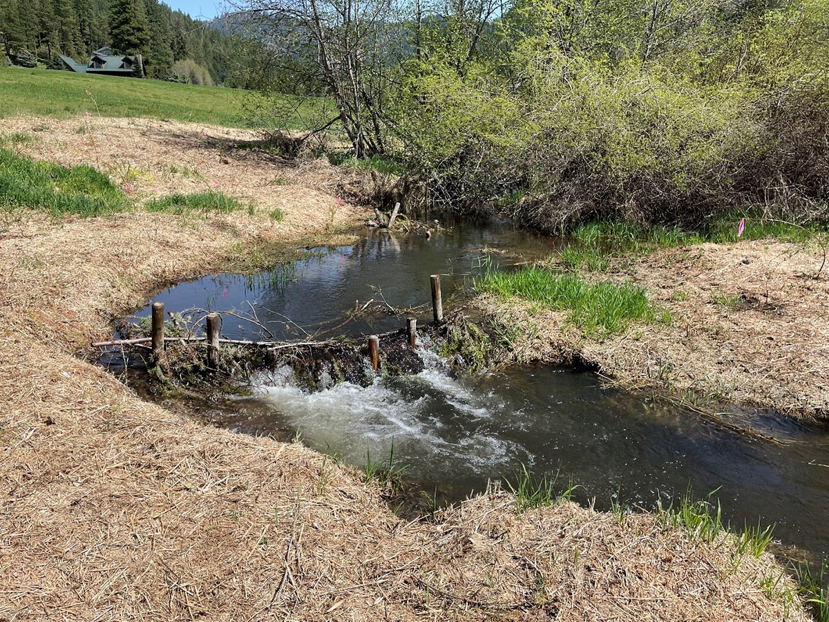 Photo: Beaver Dam Analog by Mark Ingman