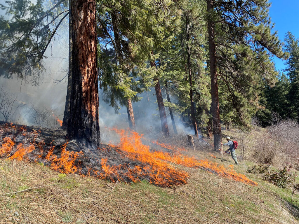 Photo: Prescribed burn at a Cascadia Prescribed Burn Association workshop