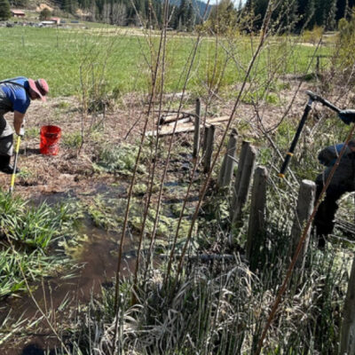 people working on native planting