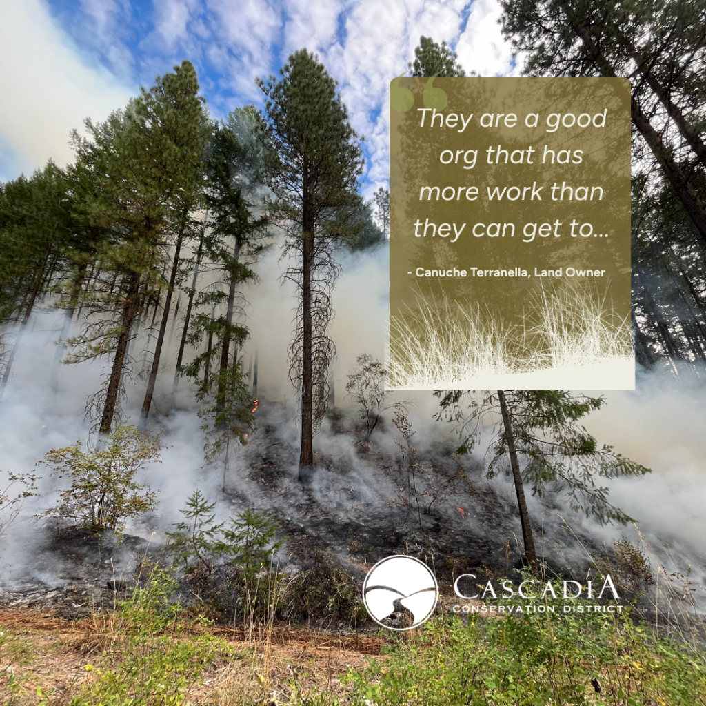 Picture of a prescribed burn we did in Leavenworth.