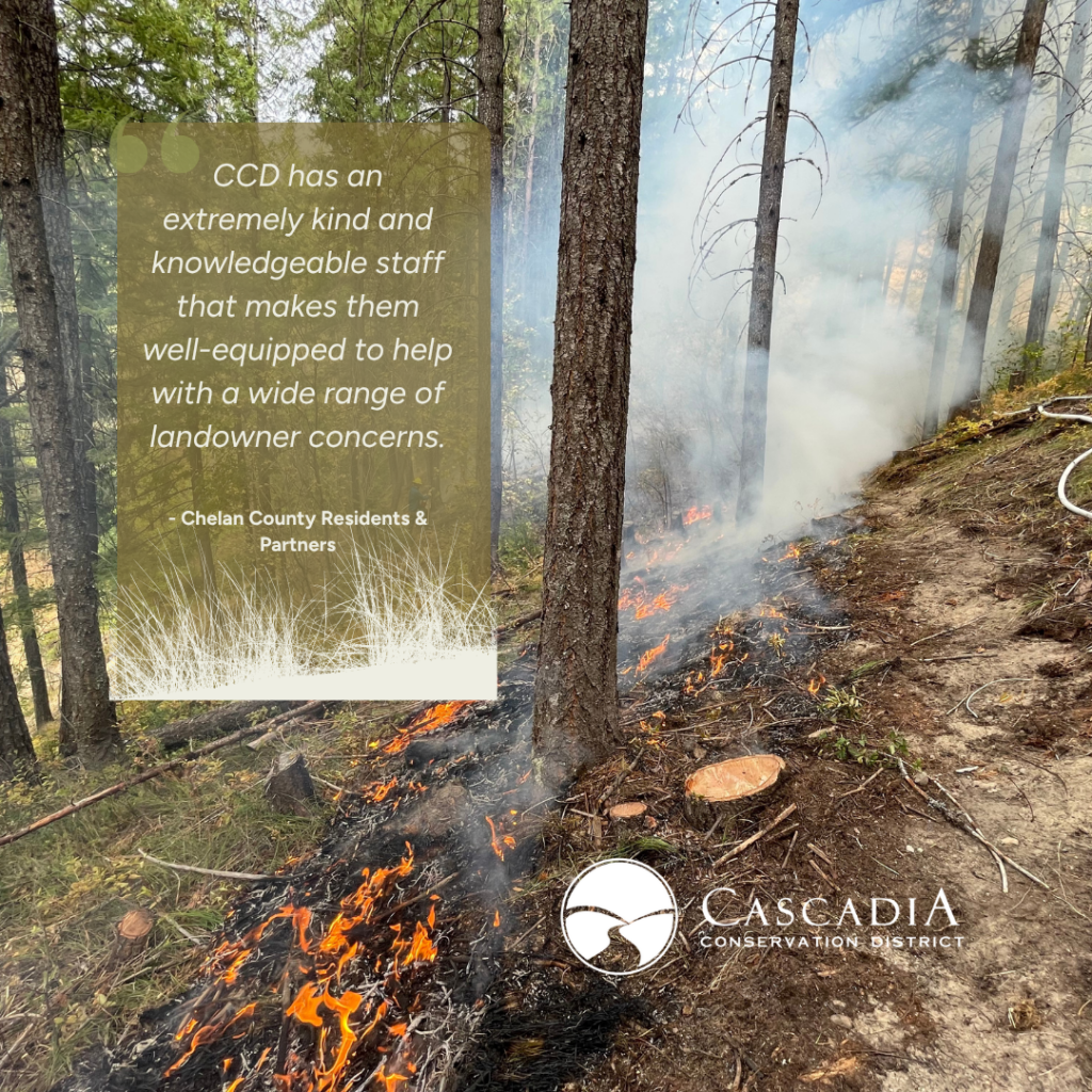 Picture of a prescribed burn we did in Leavenworth.