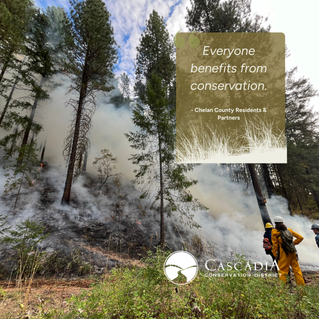 Picture of a prescribed burn we did in Leavenworth.